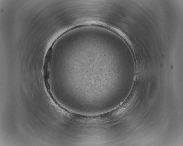 X0000068740951200605051448