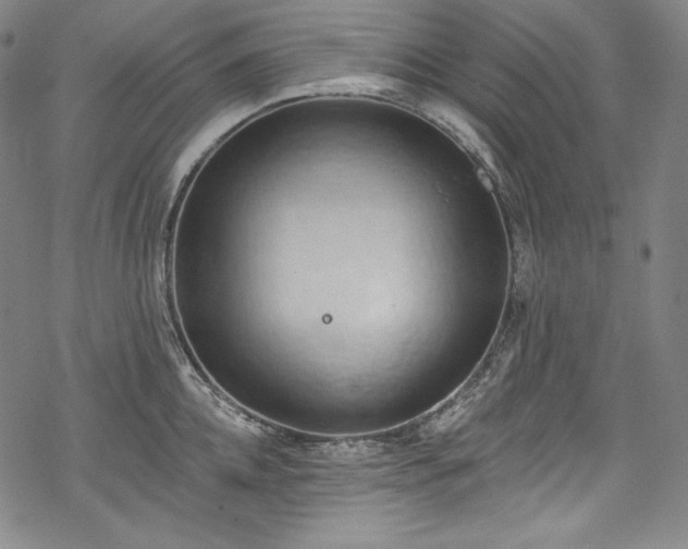 X0000068740952200605051448