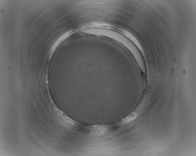 X0000068740954200605051448