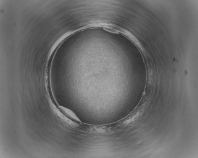 X0000068740955200605051448