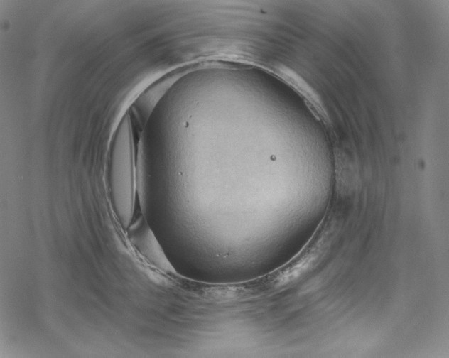 X0000068740956200605051448