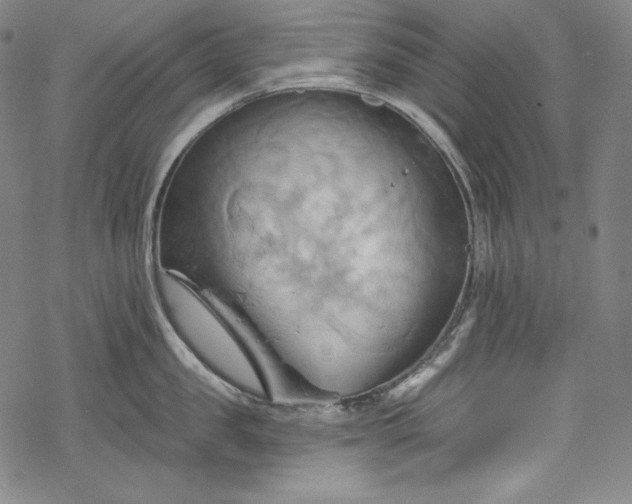 X0000068740957200605051448