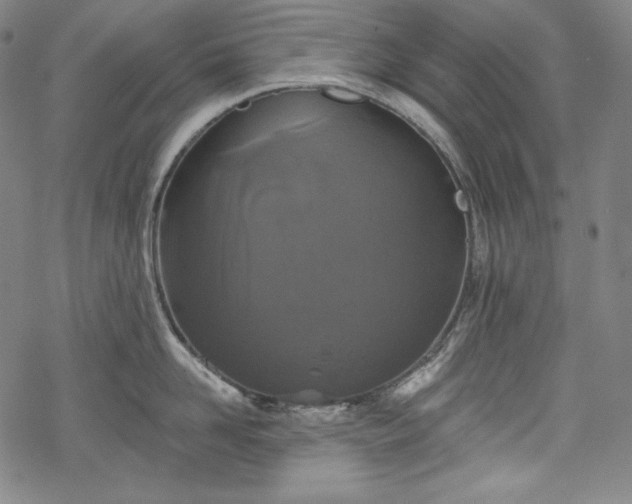 X0000068740958200605051448