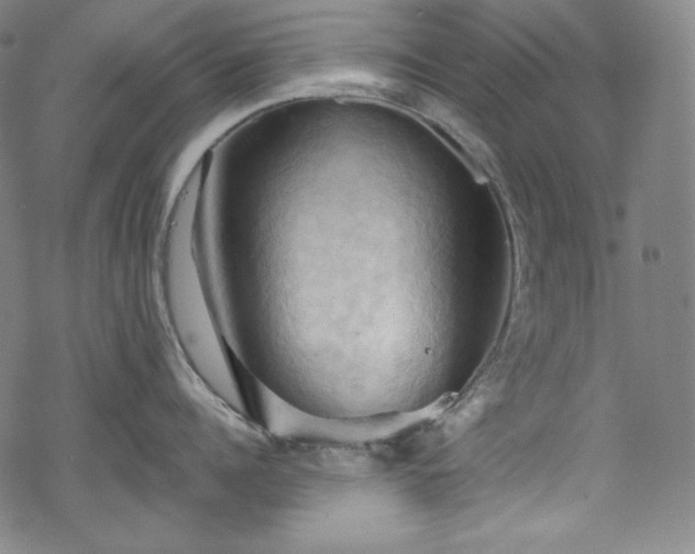 X0000068740960200605051448