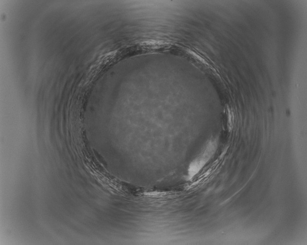 X0000068740961200605051447