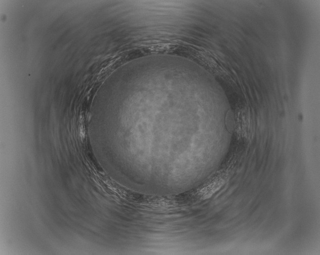 X0000068740962200605051447