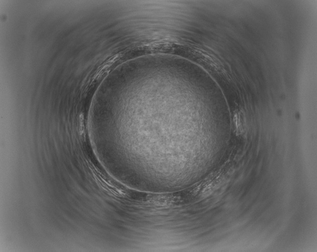 X0000068740963200605051447