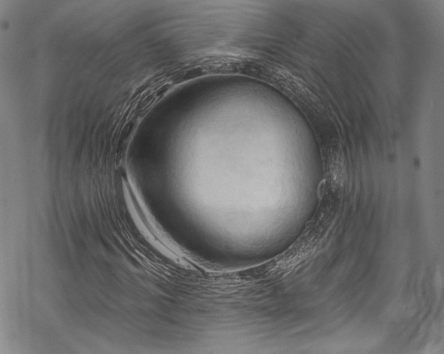 X0000068740964200605051447