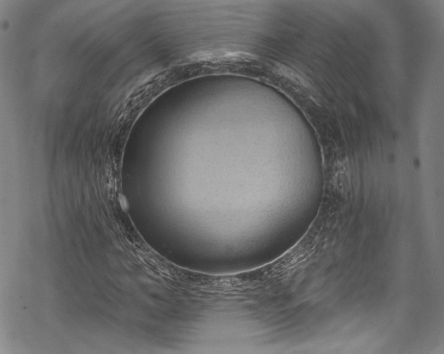 X0000068740966200605051447