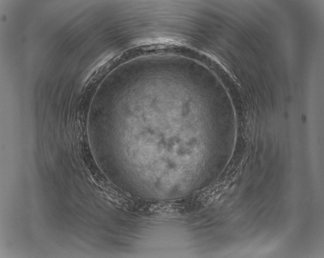 X0000068740967200605051447