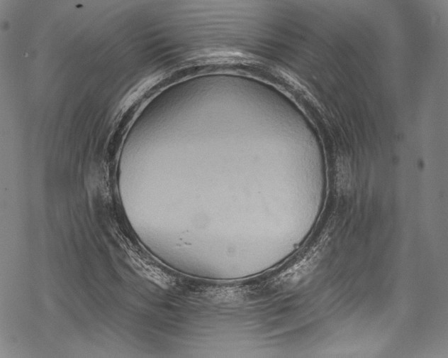 X0000068740970200605051447