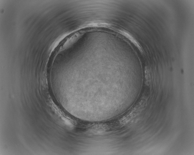 X0000068740972200605051447