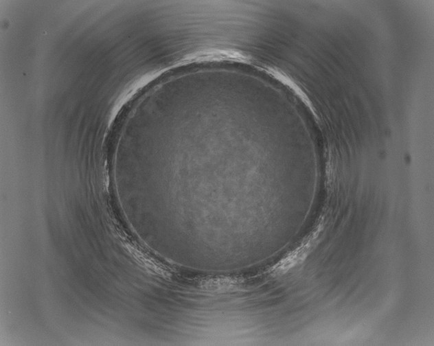 X0000068740973200605051447