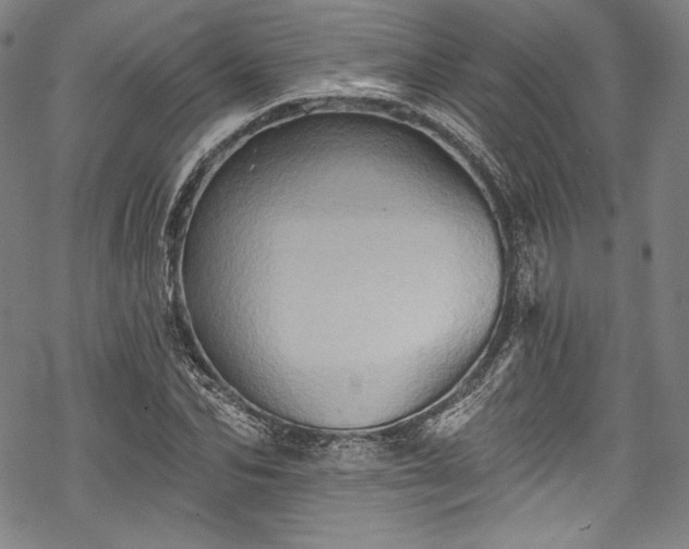 X0000068740974200605051447