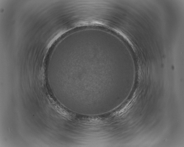 X0000068740975200605051447