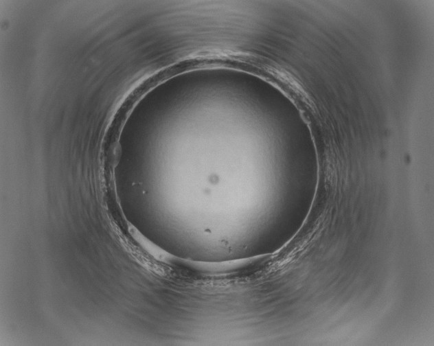 X0000068740976200605051447