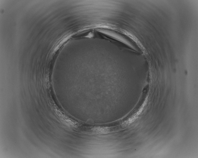 X0000068740977200605051447