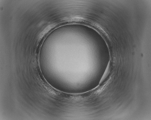 X0000068740978200605051447