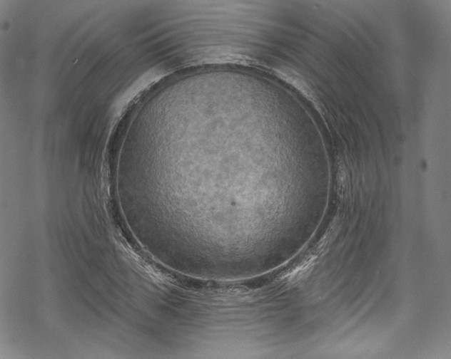 X0000068740979200605051447