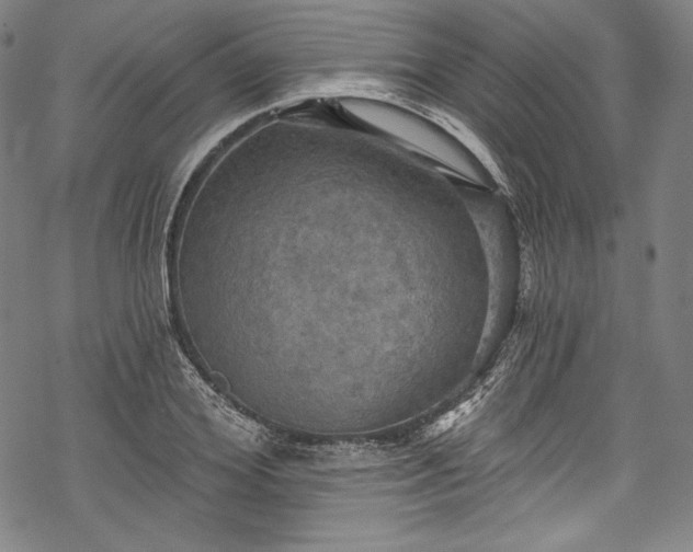 X0000068740980200605051447