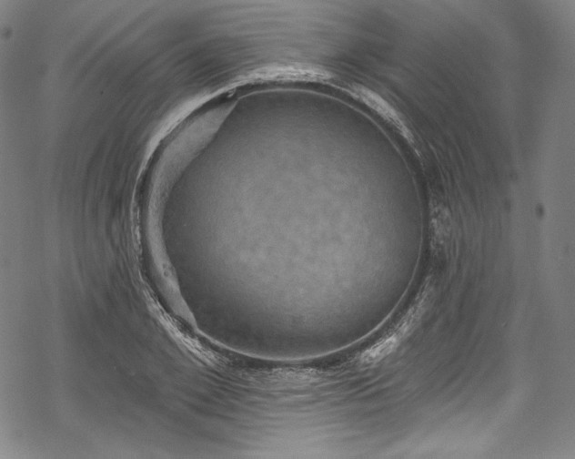 X0000068740981200605051447