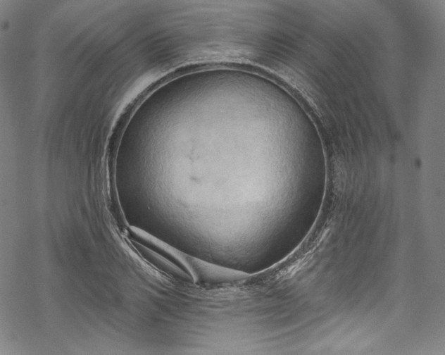 X0000068740982200605051447