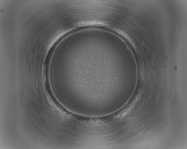 X0000068740983200605051447