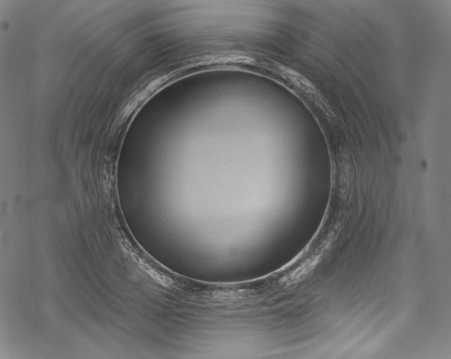 X0000068740985200605051446