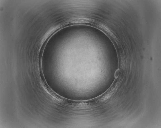 X0000068740986200605051446