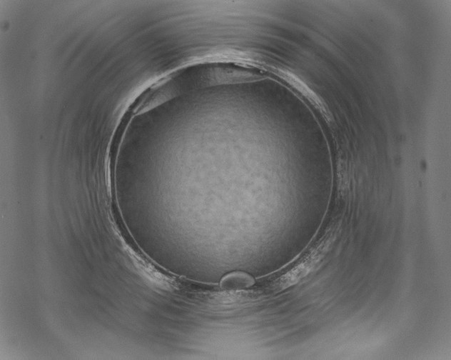 X0000068740988200605051446