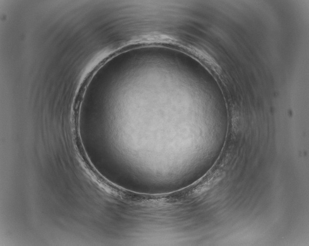 X0000068740990200605051446