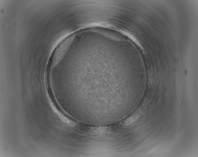 X0000068740991200605051446