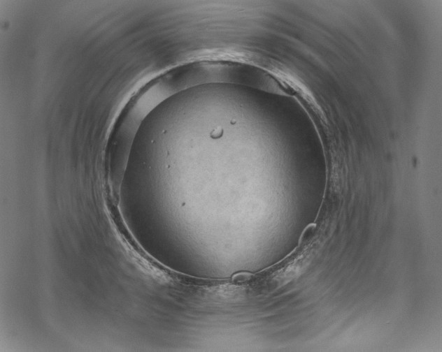 X0000068740992200605051446