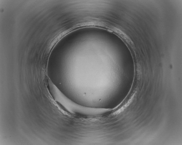 X0000068740993200605051446