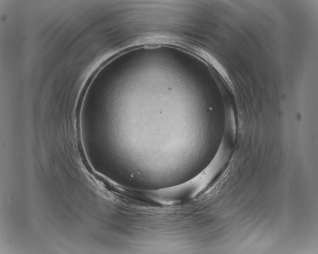 X0000068740996200605051446