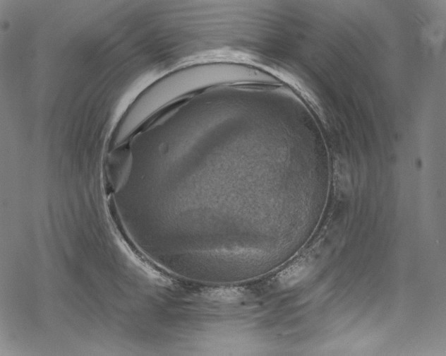 X0000068740998200605051446