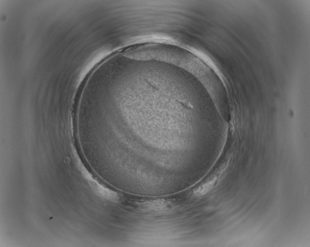 X0000068740999200605051446