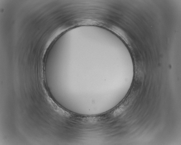 X0000068741000200605051446