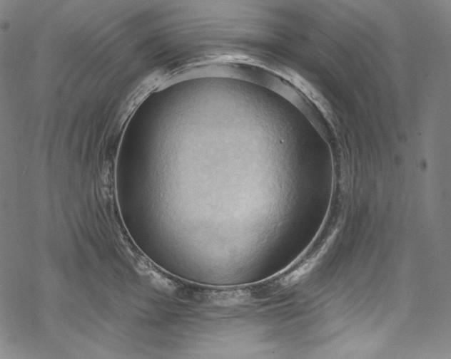 X0000068741001200605051446