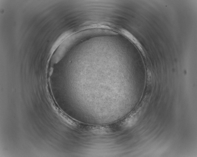 X0000068741002200605051446