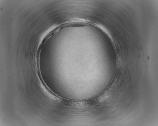 X0000068741003200605051446