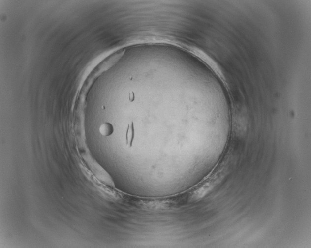 X0000068741004200605051446