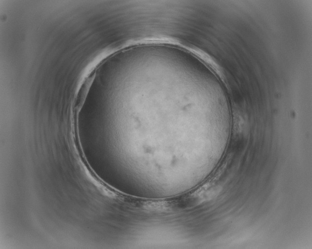 X0000068741006200605051446