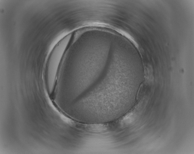 X0000068741007200605051446