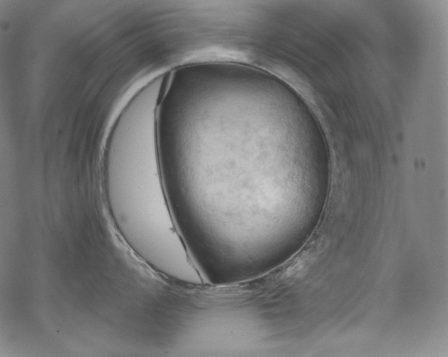 X0000068741008200605051446