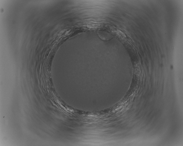 X0000068741009200605051445