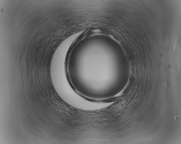 X0000068741010200605051445