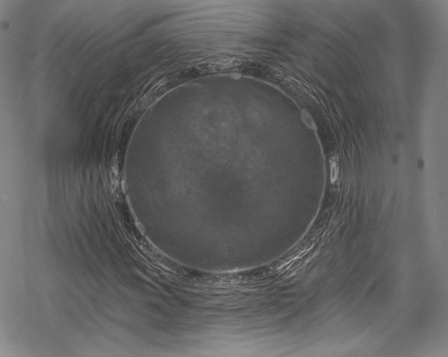 X0000068741011200605051445