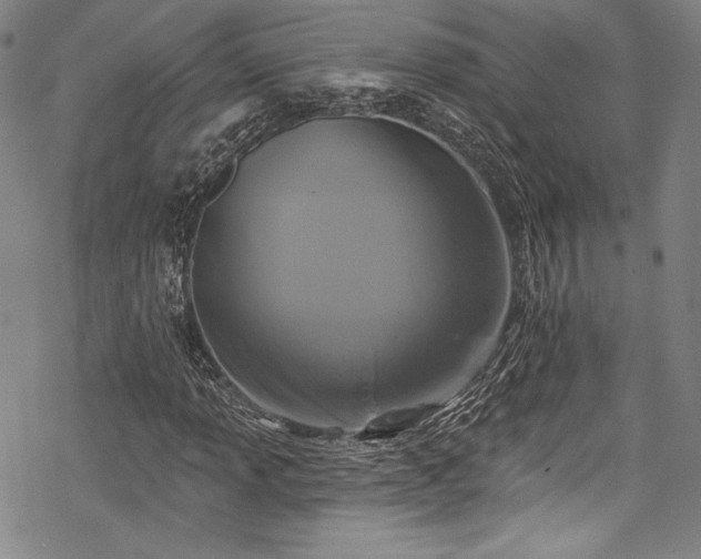 X0000068741013200605051445