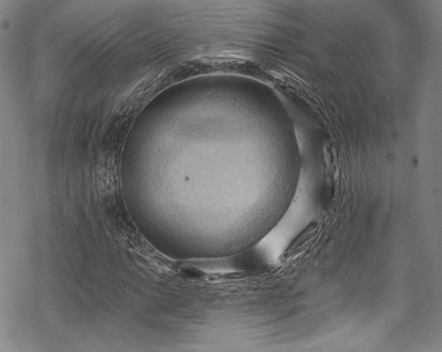 X0000068741014200605051445